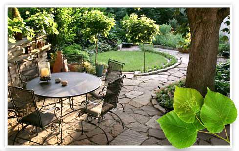 Image d'une terrasse